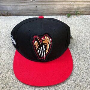 MELONWEAR Fresno Grizzlies Snapback Hat Patches Minor League Baseball MiLB Tacos